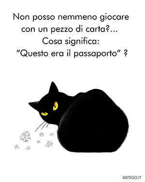 fumetti BLACK CATS LIFE katego.it
