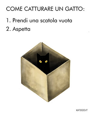 fumetti BLACK CATS LIFE katego.it