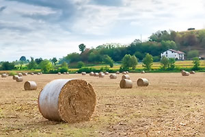 foto paesaggio e turismo katego.it