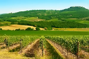 foto paesaggio e turismo katego.it