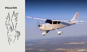 logo per l'aereo privato - katego.it