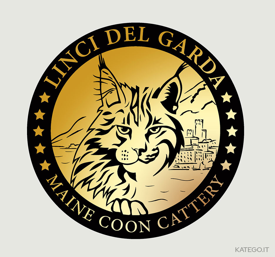 logo per logo per allevamento gatti maine coon - katego.it