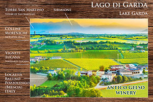 foto ripresa aereo + poster per la fiera - katego.it